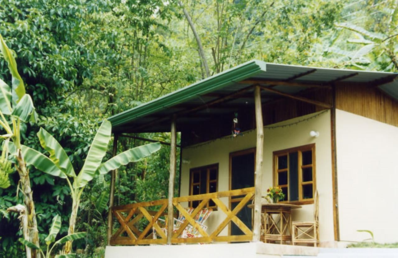 Coconut Grove Oceanfront Cottages Dominical Exterior photo