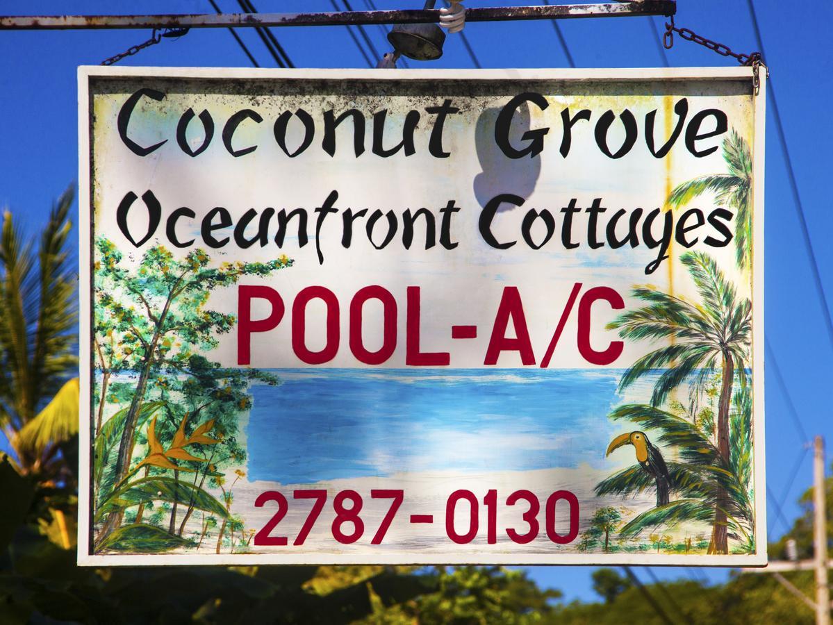 Coconut Grove Oceanfront Cottages Dominical Exterior photo